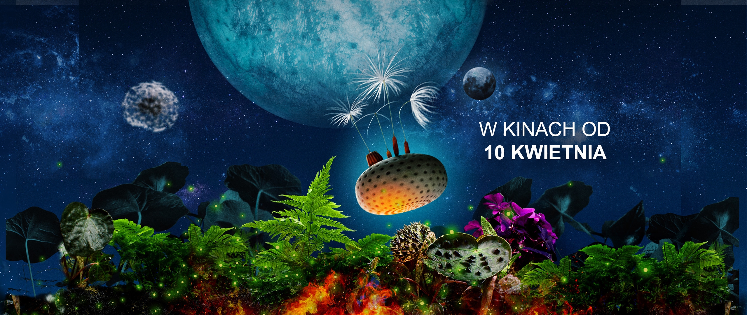 ZOBACZ JAK POWSTAWAŁY DMUCHAWCE!