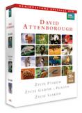 Box: David Attenborough - Życie ptaków, życie gadów i płazów, życie ssaków